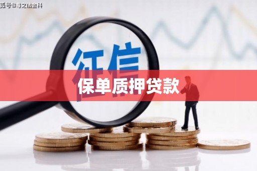 理县保单质押贷款