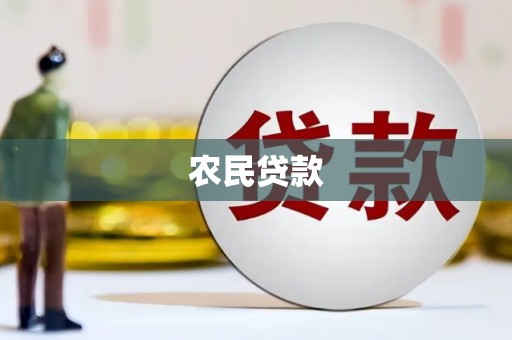 理县农民贷款