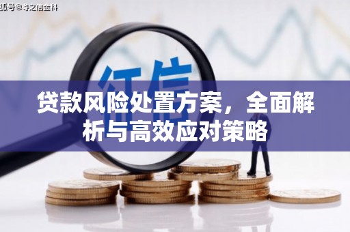 理县贷款风险处置方案，全面解析与高效应对策略