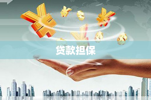 理县贷款担保