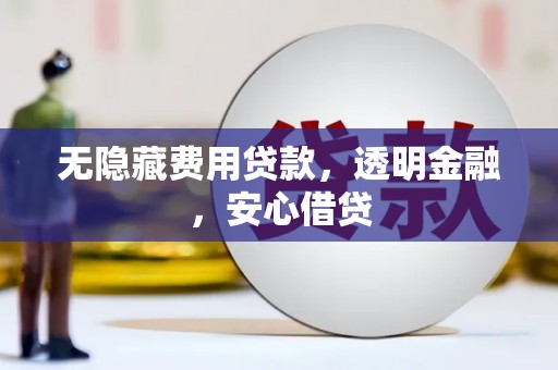 理县无隐藏费用贷款，透明金融，安心借贷
