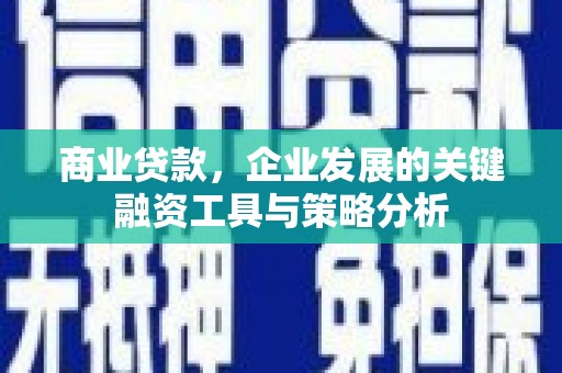 理县商业贷款，企业发展的关键融资工具与策略分析