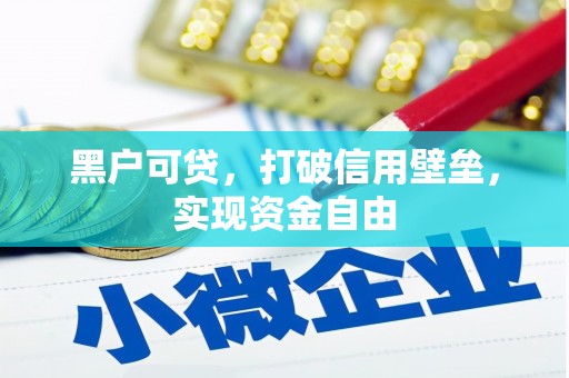 理县黑户可贷，打破信用壁垒，实现资金自由