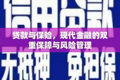 理县贷款与保险，现代金融的双重保障与风险管理