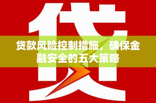 理县贷款风险控制措施，确保金融安全的五大策略