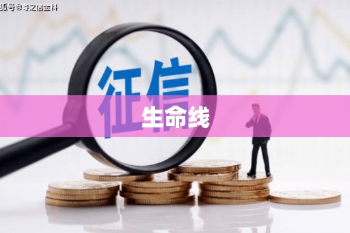理县生命线
