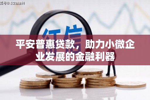 理县平安普惠贷款，助力小微企业发展的金融利器