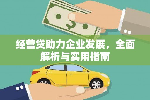 理县经营贷助力企业发展，全面解析与实用指南