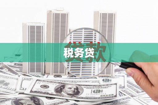 理县税务贷