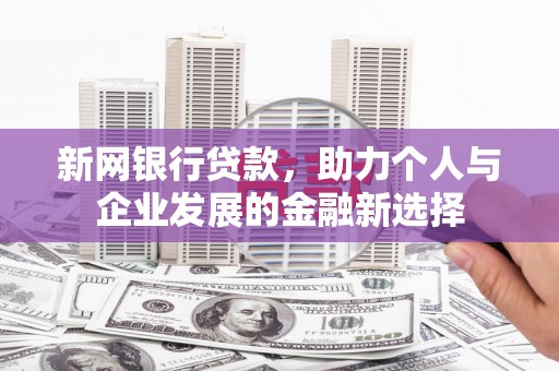 理县新网银行贷款，助力个人与企业发展的金融新选择