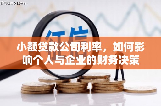 理县小额贷款公司利率，如何影响个人与企业的财务决策