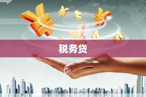 理县税务贷