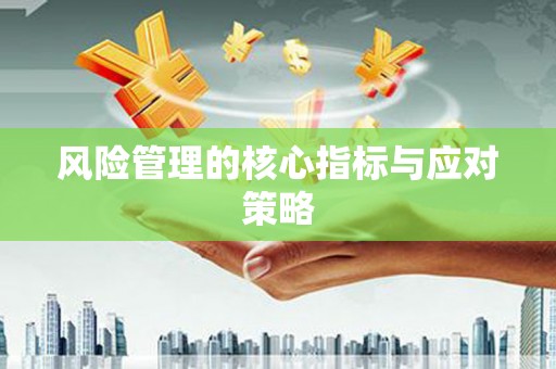 理县风险管理的核心指标与应对策略