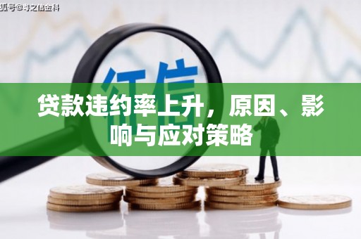 理县贷款违约率上升，原因、影响与应对策略