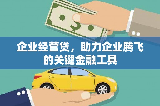理县企业经营贷，助力企业腾飞的关键金融工具