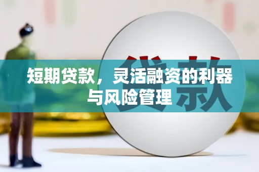理县短期贷款，灵活融资的利器与风险管理