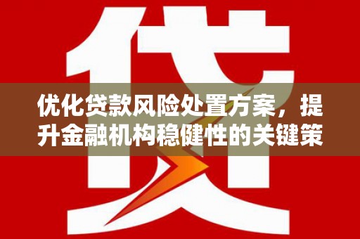 理县优化贷款风险处置方案，提升金融机构稳健性的关键策略