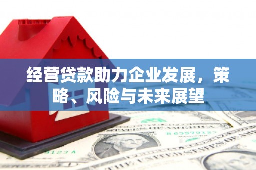 理县经营贷款助力企业发展，策略、风险与未来展望