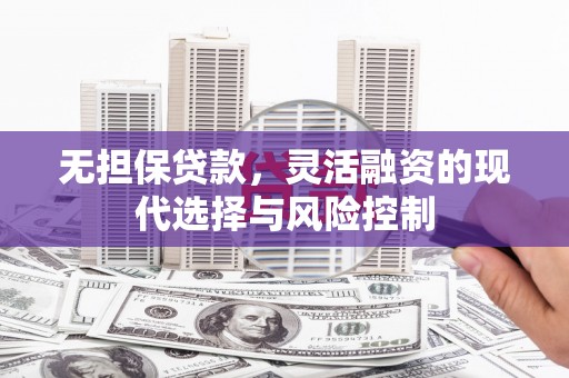 理县无担保贷款，灵活融资的现代选择与风险控制