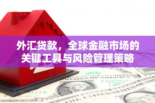 理县外汇贷款，全球金融市场的关键工具与风险管理策略