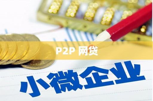 理县P2P 网贷