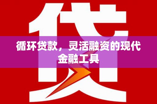理县循环贷款，灵活融资的现代金融工具