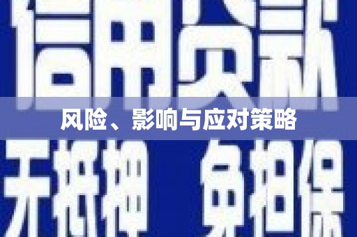 理县风险、影响与应对策略