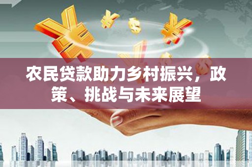 理县农民贷款助力乡村振兴，政策、挑战与未来展望