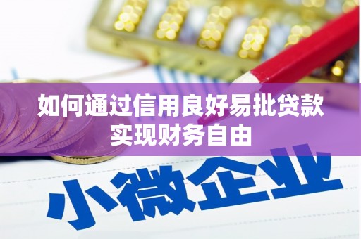 理县如何通过信用良好易批贷款实现财务自由
