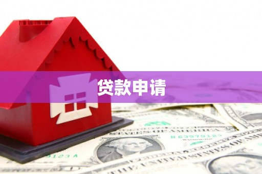 理县贷款申请