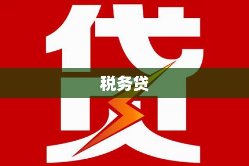 理县税务贷