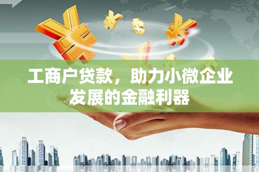 理县工商户贷款，助力小微企业发展的金融利器