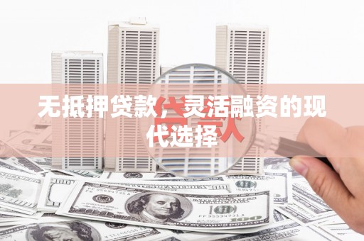 理县无抵押贷款，灵活融资的现代选择