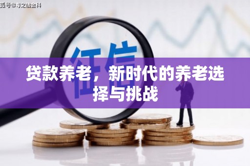 理县贷款养老，新时代的养老选择与挑战