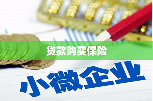 理县贷款购买保险