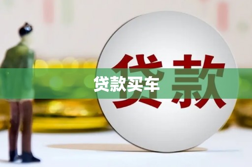 理县贷款买车