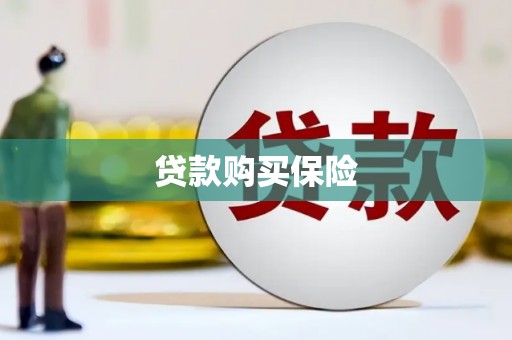 理县贷款购买保险