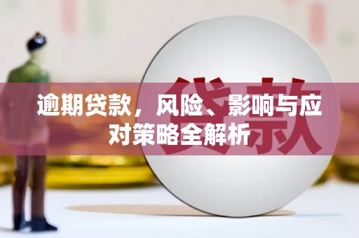 理县逾期贷款，风险、影响与应对策略全解析