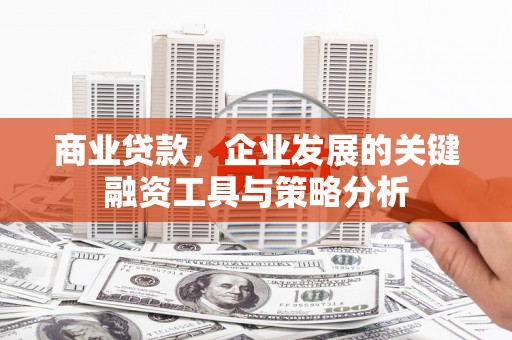 理县商业贷款，企业发展的关键融资工具与策略分析