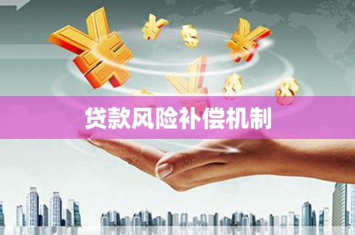 理县贷款风险补偿机制