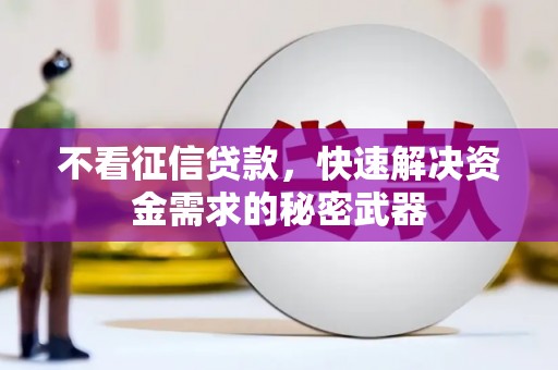 理县不看征信贷款，快速解决资金需求的秘密武器