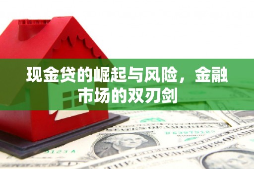 理县现金贷的崛起与风险，金融市场的双刃剑