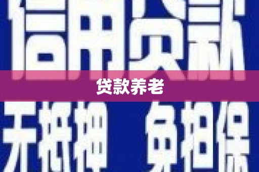 理县贷款养老