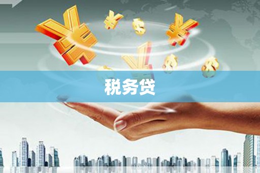 理县税务贷