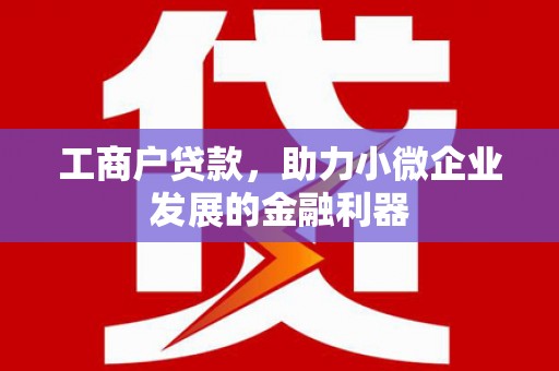 理县工商户贷款，助力小微企业发展的金融利器
