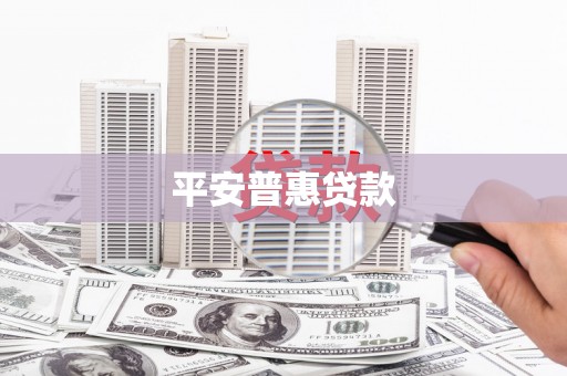 理县平安普惠贷款