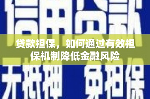 理县贷款担保，如何通过有效担保机制降低金融风险