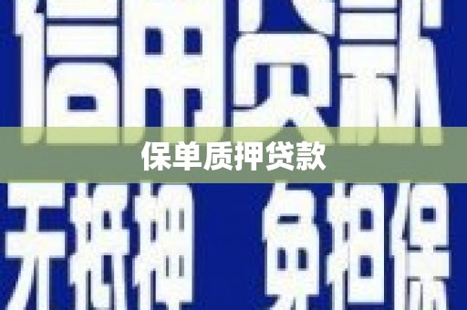 理县保单质押贷款