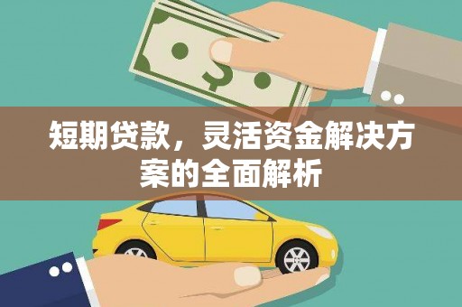 理县短期贷款，灵活资金解决方案的全面解析