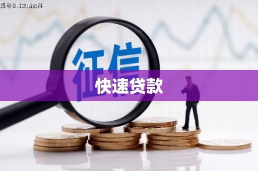 理县快速贷款